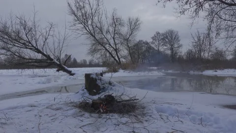 Campfire in winter scenery Stock Footage 148442257