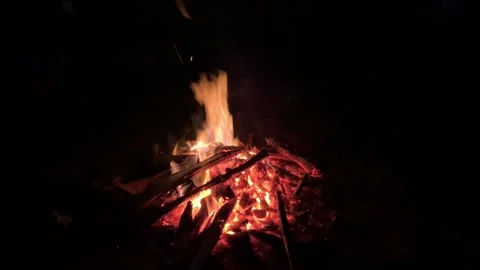 Campfire with wood in the dark Stock Footage 131844802