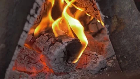 Campfire Wood Flames Stock Footage 253040119