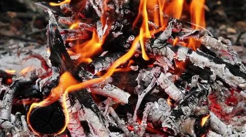 Campfire Wood Stock Footage 8540612