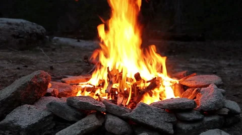 Campfire in Woods Stock Footage 41452935