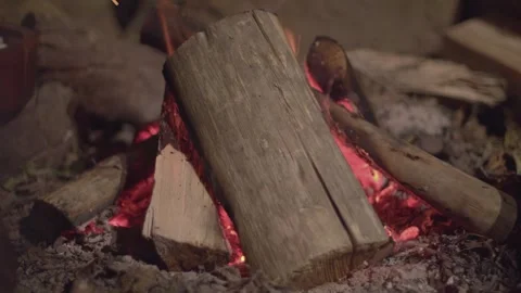 Campfire in the woods Stock Footage 260822644