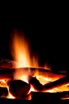 Campfire in the woods Stock Photos