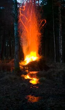 Campfire in the woods.JH Foto stock