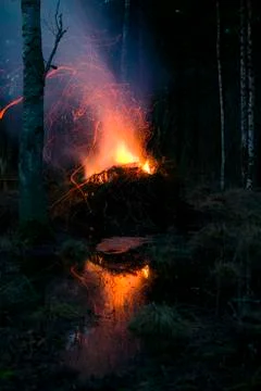 Campfire in the woods.jh Foto stock