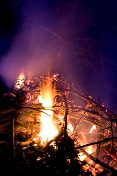 Campfire in the woods.jh Stock Photos