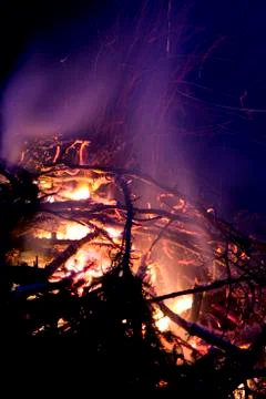 Campfire in the woods.jh Stock Photos