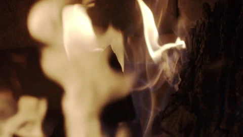 Campfire_1 動画素材 135556495