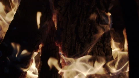 Campfire_4 動画素材 135556894