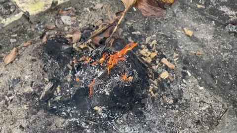 Campfire/Fire burning Stock Footage 235248699