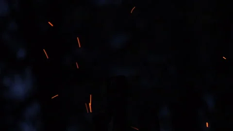 Campfire.Orange sparks flying up. Stock Footage 130863005