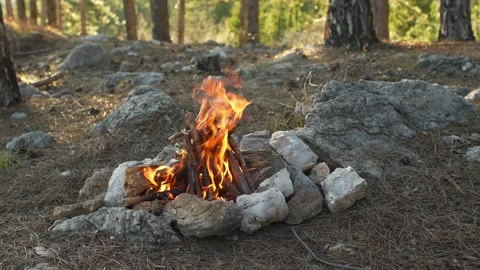 The campfire's flames rise up within a stone circle in a forest clearing. Stock Footage 263749038