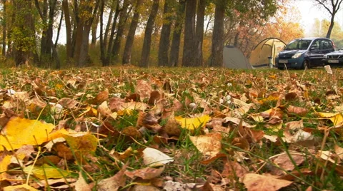 The campground in autumn forest. Slider Shot. Stock Footage 45301989