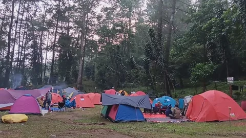 Campground Stock Footage 239984096