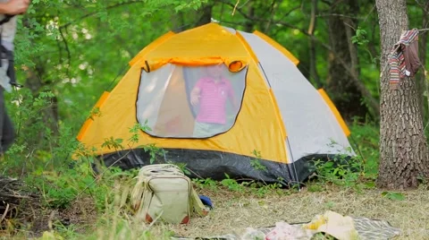 The campground in the forest zone on a summer evening Stock Footage 53494901