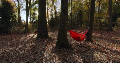 Campground Hammock Stock Footage 142049384
