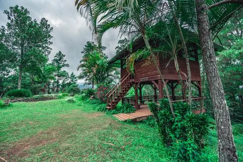 Campground in rainforest in the mountains, rain clouds in jungle Stock Photos