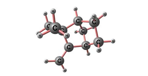 Camphene molecular structure isolated on white Stock Illustration