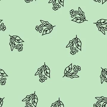 Camphor aromatherapy color icon vector isolated illustration Stock Illustration