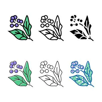 Camphor aromatherapy color icon vector isolated mix Stock Illustration