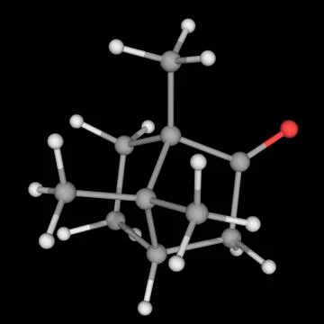 Camphor molecule Illustrazione stock
