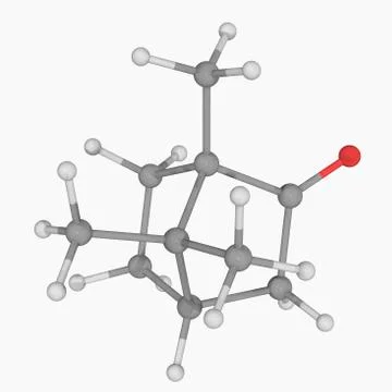 Camphor molecule Illustrazione stock