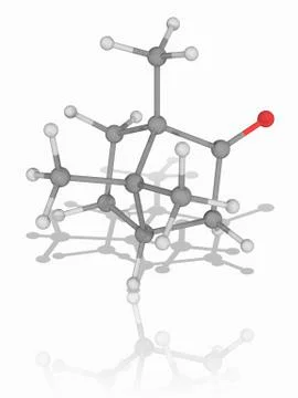 Camphor organic compound molecule Illustrazione stock
