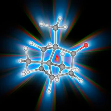 Camphor organic compound molecule Illustrazione stock