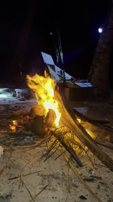 Camping activity cooking and grilling fish on a bonfire at night Vidéo 282760638