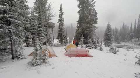 Camping among pine trees during a light snowstorm Stock Footage 43617909