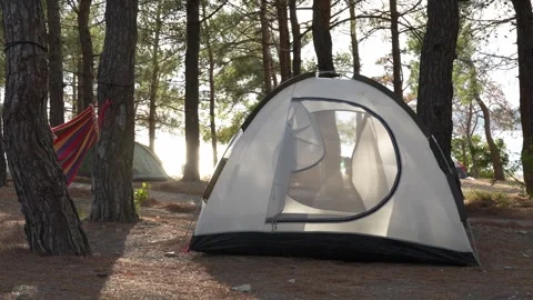 Camping among pine trees on the seashore, white tent in the wind Video stock 285373048