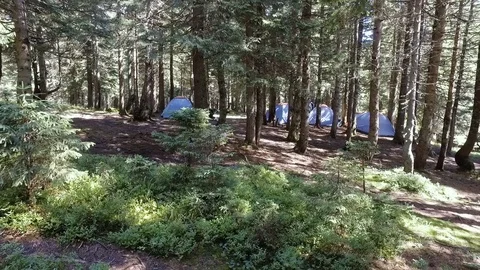 Camping and tent under pine forest in the sunset in a pine forest on the mount Stock Footage 73538485