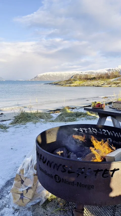 Camping on an Arctic beach with a seaside view, Vídeos de archivo 320670496