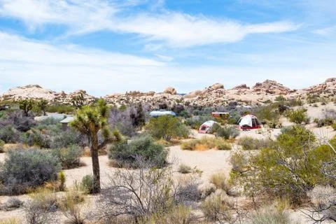 Camping area with tents and trailers in Joshuna National Park, Usa. Stock Photos