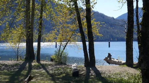 Camping in BC Video stock 74866756