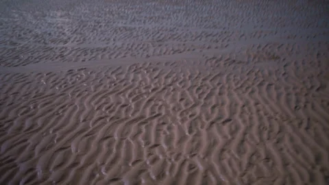 Camping On Beach 00025 Video stock 345946331