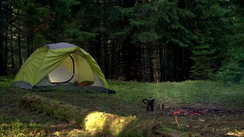 Camping in a beautiful forest Stock Footage 144971578