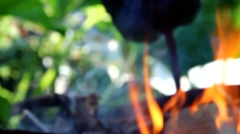 Camping bonfire Stock Footage 40708616