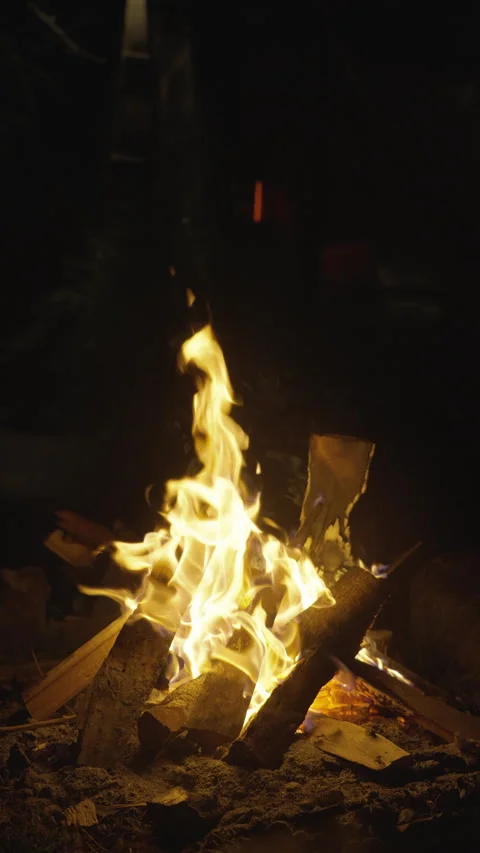 Camping campfire night slow motion Stock Footage 276591304