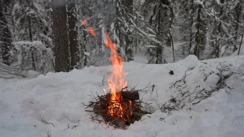 Camping campfire in a winter forest. 库存影片 328994883