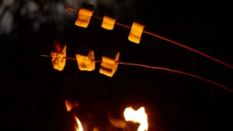 Camping concept - roasting marshmallow over campfire Video stock 82545554
