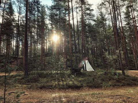 Camping in Cone Forest Foto stock