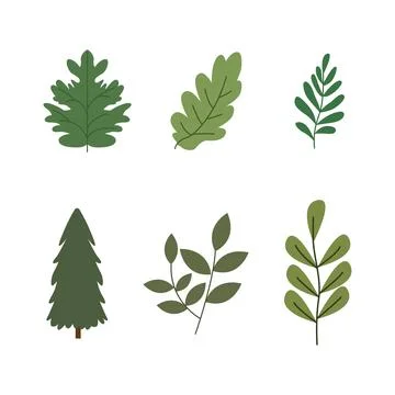 Camping Elements Set of Pine Fir Conifer Tree Leaves Foliage Plant 스톡 일러스트