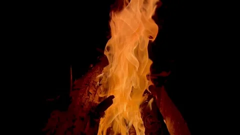 Camping fire on a black background Video stock 336181922