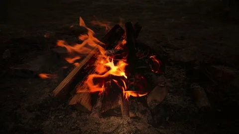 Camping fire in the evening, in winter. Fire in nature. Stock Footage 144504398