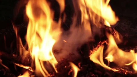 Camping Fire - Evolutionary Advantage - Fire Controlling Powers Stock Footage 75819428