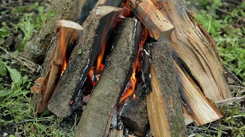 Camping fire Stock Footage 50396364