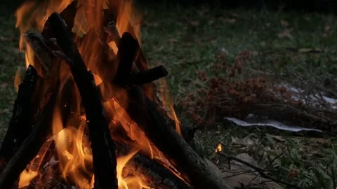 Camping fire Stock Footage 100661305