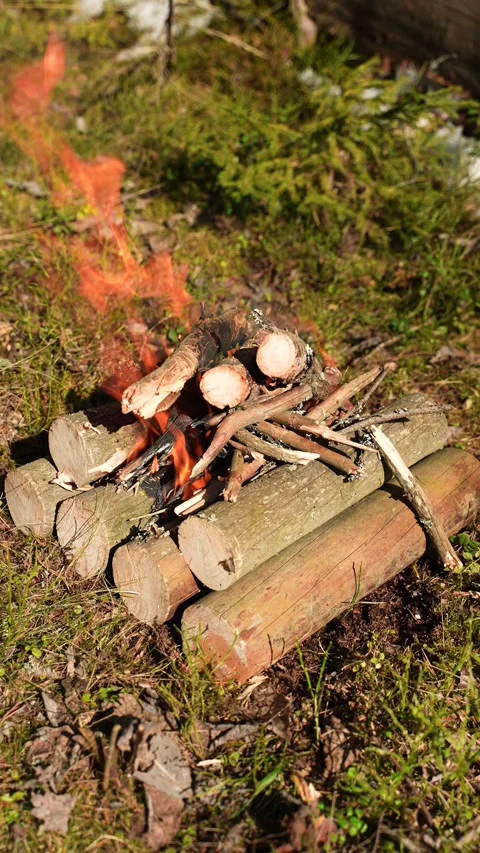 Camping fire in the forest. Close-up of a campfire in the woods. Fire during the Video stock 308289975