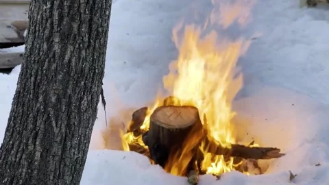 Camping fire in forest winter Stock-Footage 233761571